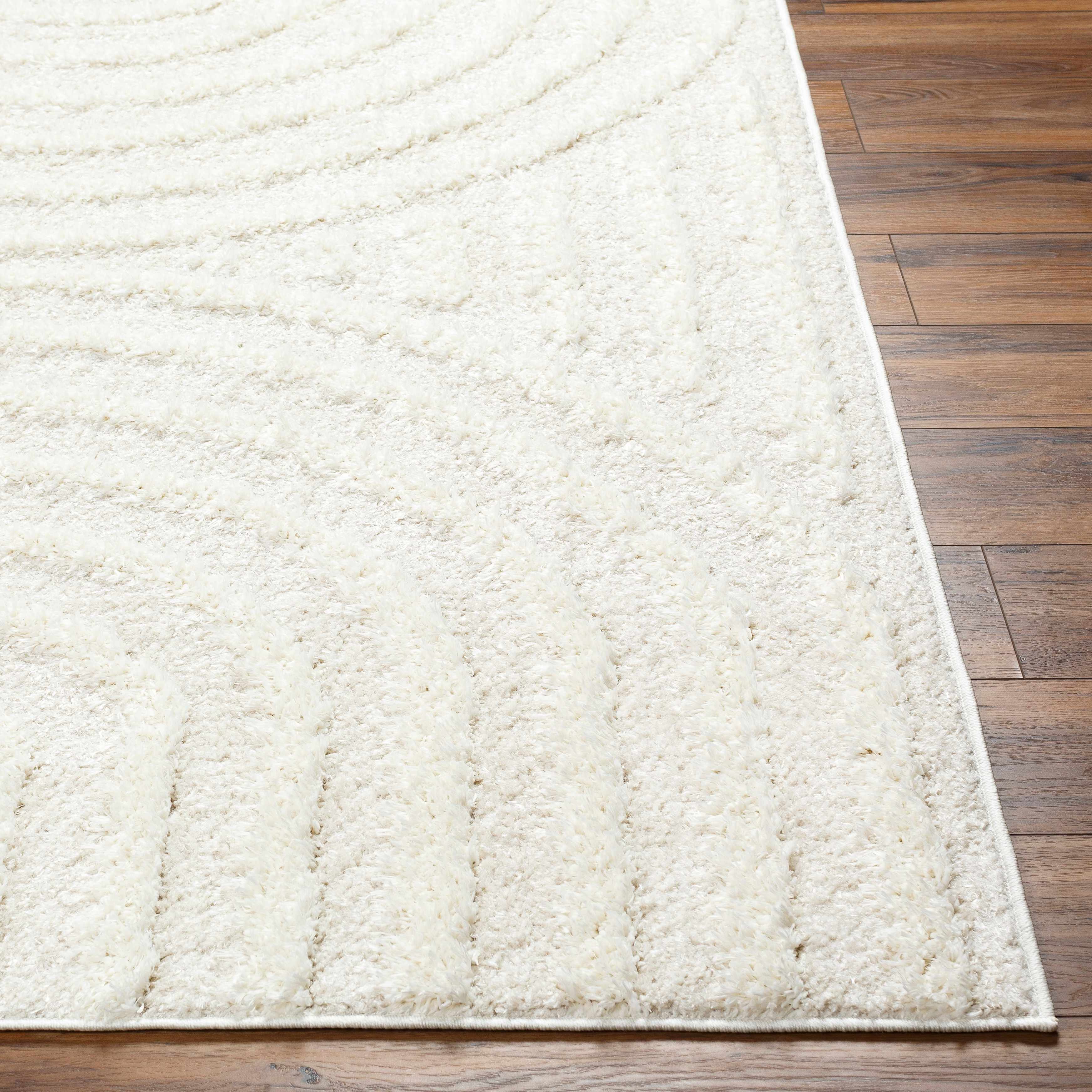 Bristol Area Rug  Contemporary  Machine Woven  Beige