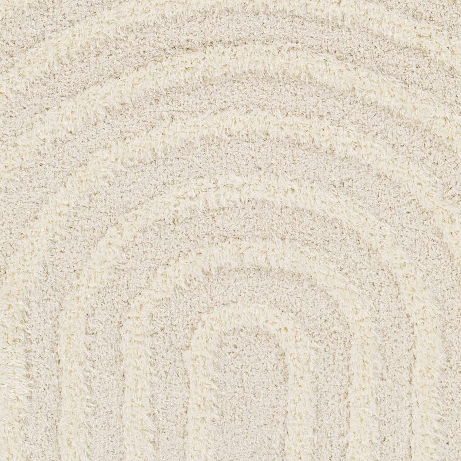 Bristol Area Rug  Contemporary  Machine Woven  Beige