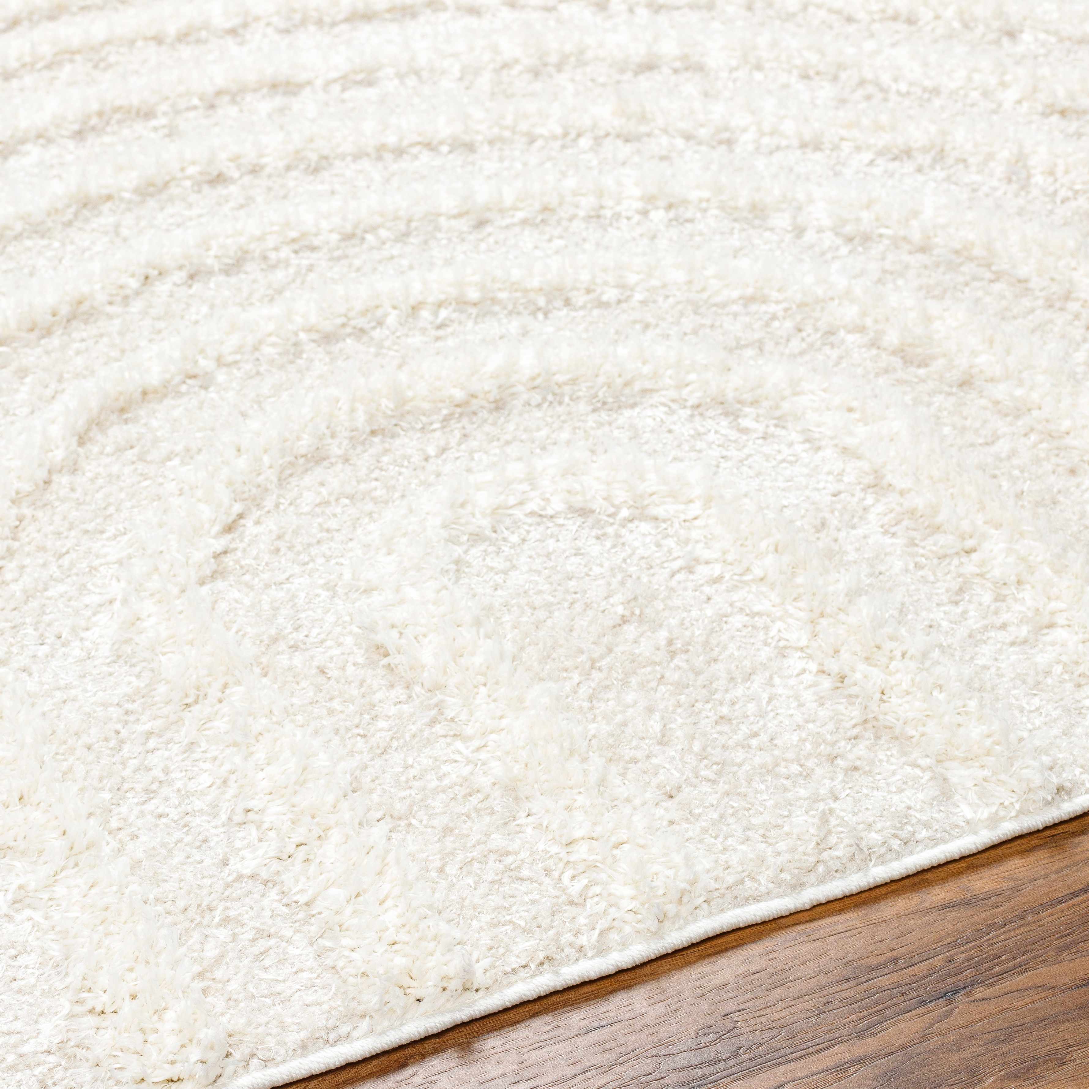 Bristol Area Rug  Contemporary  Machine Woven  Beige