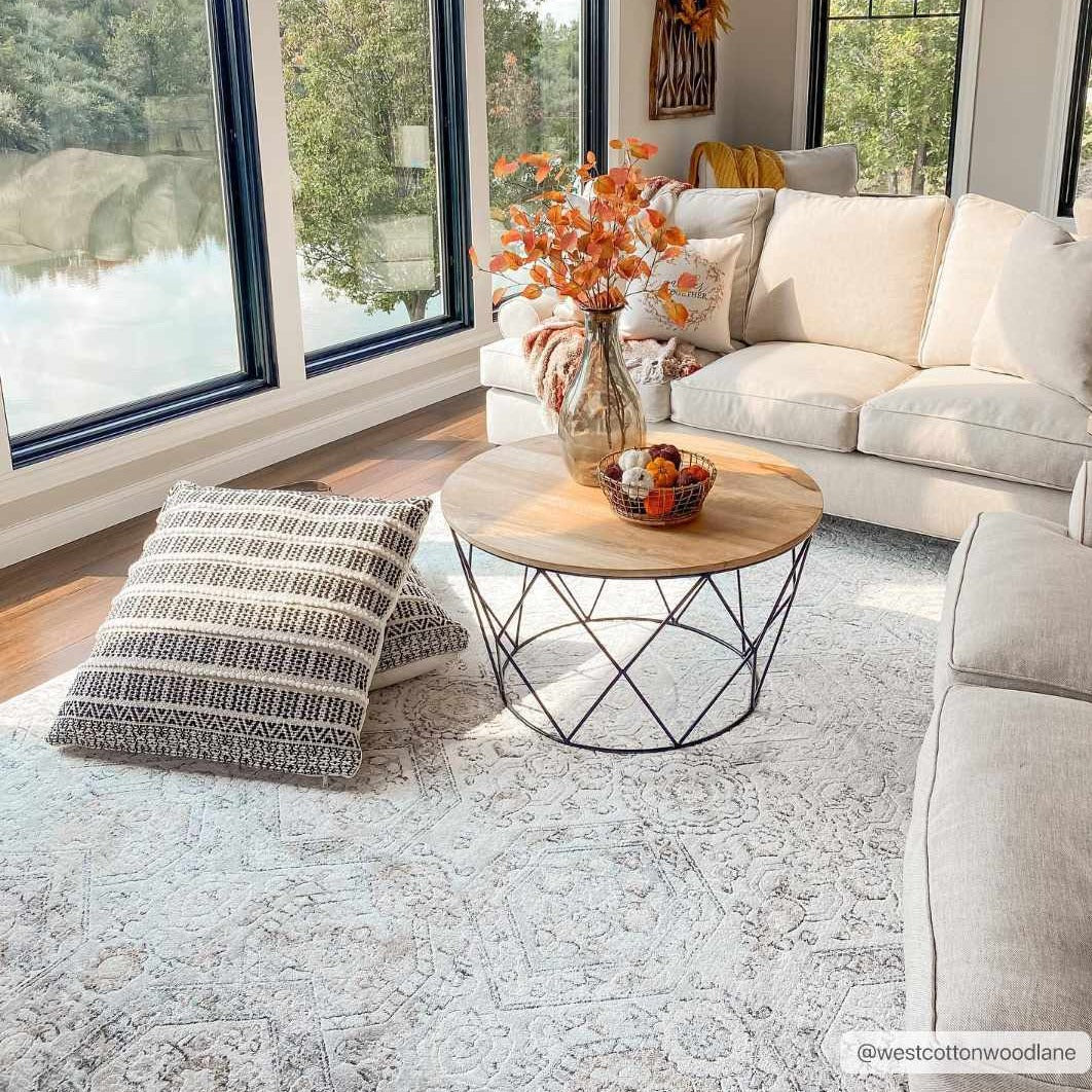 Paxley Area Rug  Moroccan Style, Medium Pile Polypropylene