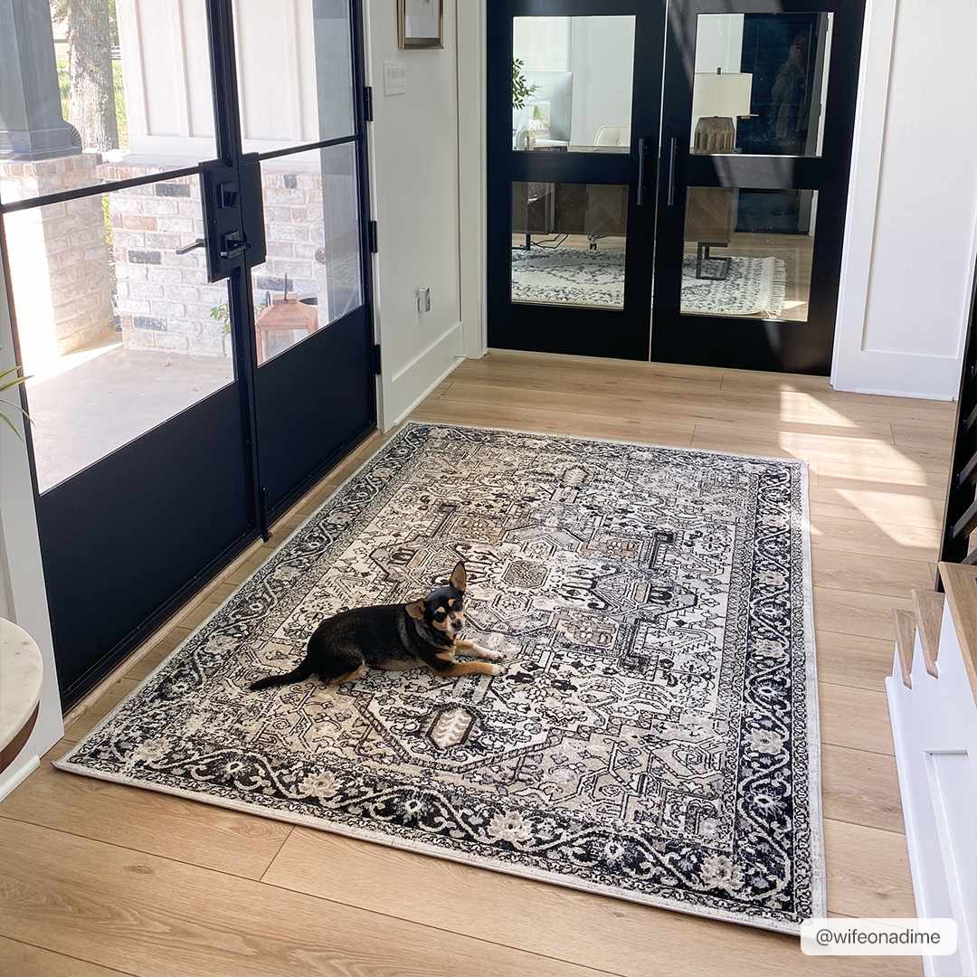 Cavara Area Rug  Washable  Traditional Style, Low Pile
